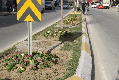 AKYAZI’YA BAHAR ERKEN GELDİ