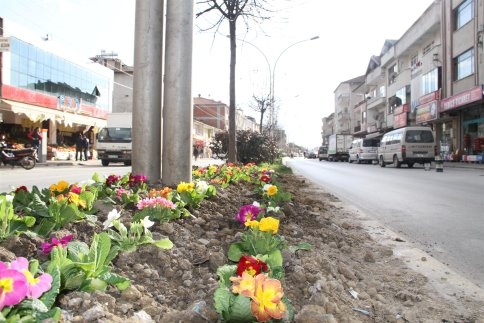 AKYAZI’YA BAHAR ERKEN GELDİ