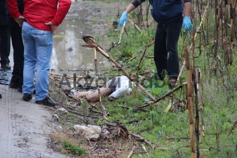 Yol Kenarında Erkek Cesedi Bulundu
