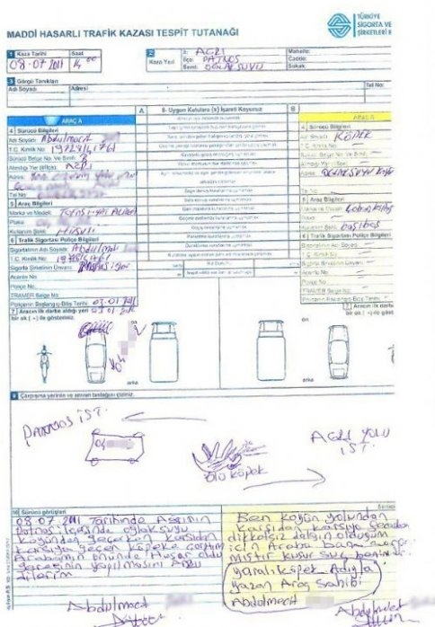 Tutanakta Son Nokta: Köpek Dile Geldi