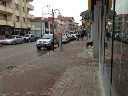 Hacıoğlu Sokak da Parkomatlı oldu . 