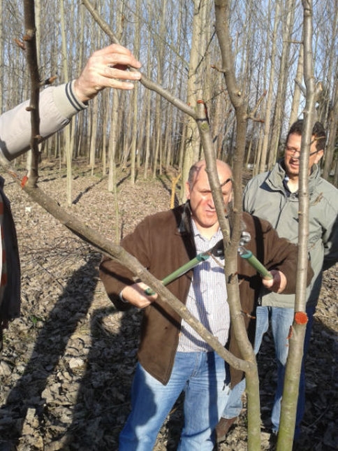 Ağaç Budama Kursu Sona Erdi