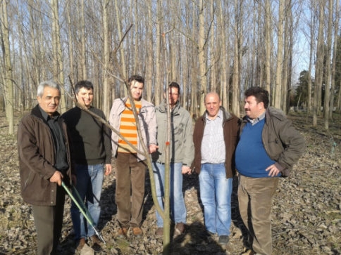 Ağaç Budama Kursu Sona Erdi