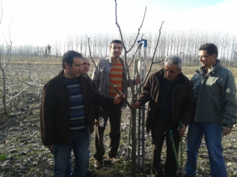 Ağaç Budama Kursu Sona Erdi