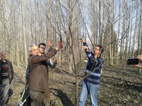 Ağaç Budama Kursu Sona Erdi