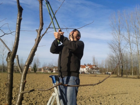 Ağaç Budama Kursu Sona Erdi