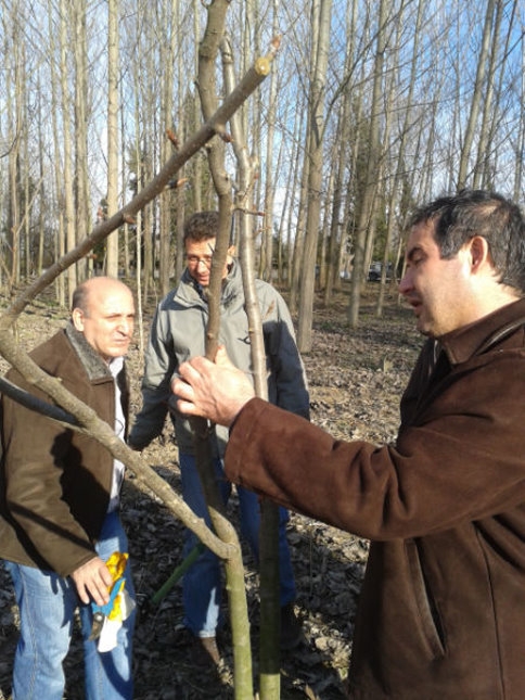 Ağaç Budama Kursu Sona Erdi