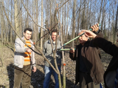 Ağaç Budama Kursu Sona Erdi