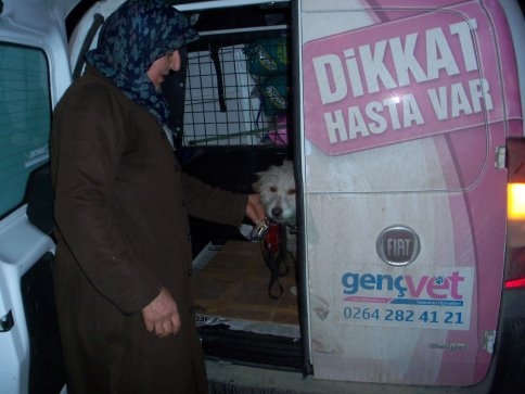 Hayvan sevgisi hayata döndürdü