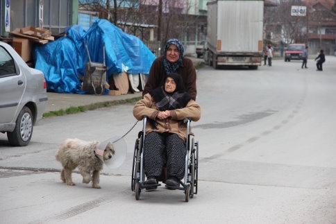 Hayvan sevgisi hayata döndürdü