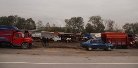 Hayvan pazarında bıçaklı kavga 