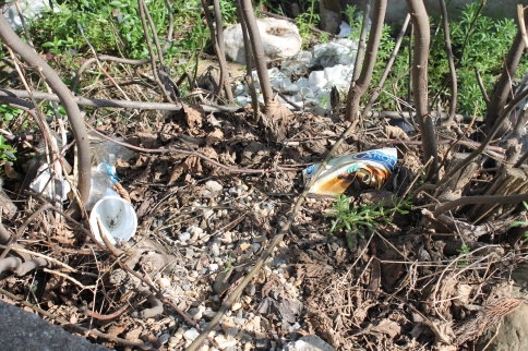 GAZİ’NİN ANISINA SAYGISIZLIK