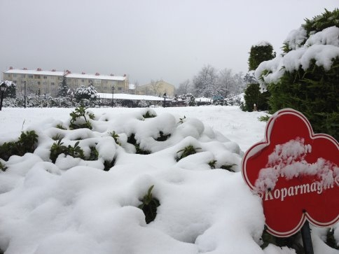 Akyazı'da Kar Sürprizi