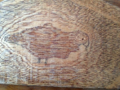 Kestiği Ağaçta çıkan Şekil Şaşırttı