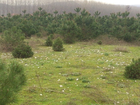 İmam Hatip Lisesi İçin Zemin Etüdü Yapıldı