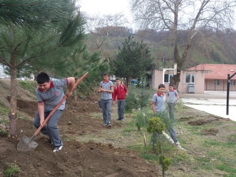 Ağaçlar Büyümeye Devam Edecek
