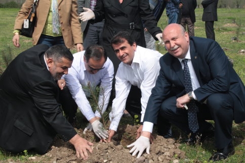 Ak Kadınlar Fidan Dikti