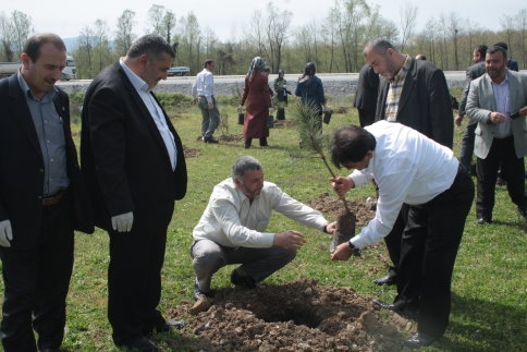 Ak Kadınlar Fidan Dikti