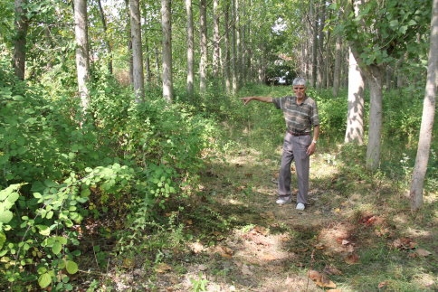 Önce Çaldılar Sonra Parçaladılar