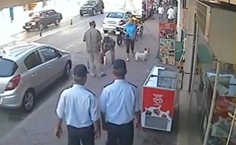 Anne Kediye Kafa Tutan Köpek Yaptığına Pişman oldu