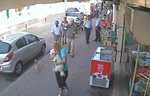 Anne Kediye Kafa Tutan Köpek Yaptığına Pişman oldu