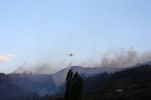 Sakarya’daki orman yangını kontrol altına alındı