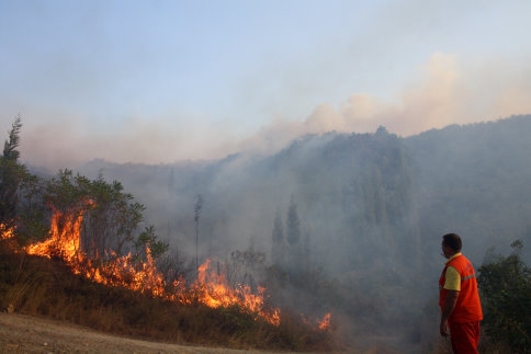 Sakarya’daki orman yangını kontrol altına alındı