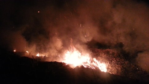 Salihiye’de Yangın