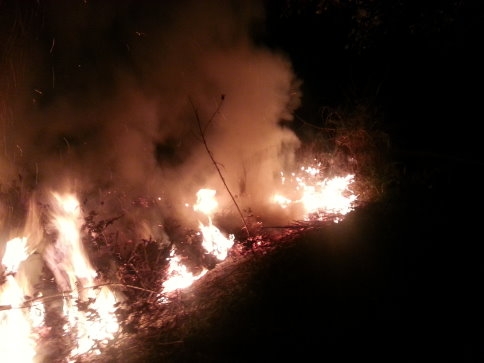 Salihiye’de Yangın