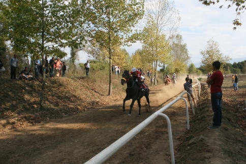 At Seyircilerin Arasında Daldı 3 Yaralı