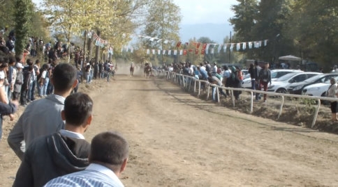 At’ın Seyirciler Arasına Dalış Anı