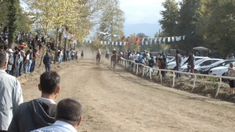 At’ın Seyirciler Arasına Dalış Anı