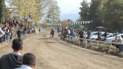 At’ın Seyirciler Arasına Dalış Anı