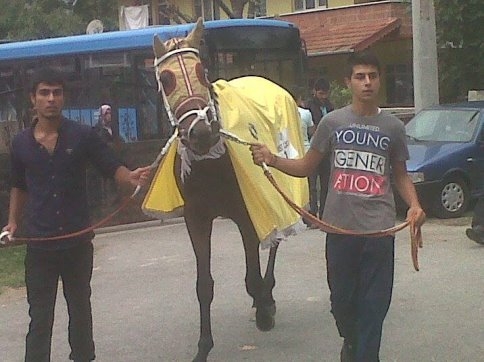 Yeni Atıyla İlk Kupasını Aldı