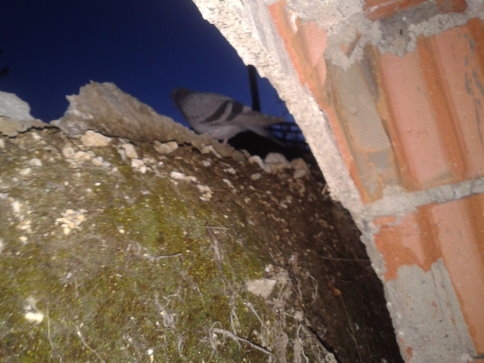 İstinat Duvarı Evin Üzerine Düştü