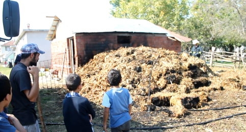 Ateşle Oynayan Çocuklar Samanlık Yaktı