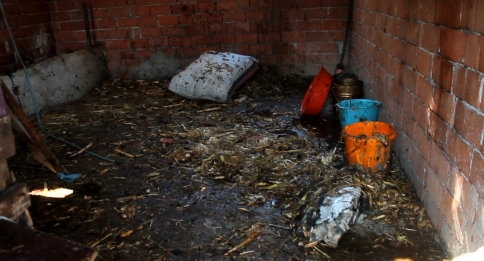 Ateşle Oynayan Çocuklar Samanlık Yaktı