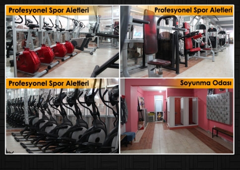 Vücut Geliştirme, Tüm Sporların Ana Dalıdır