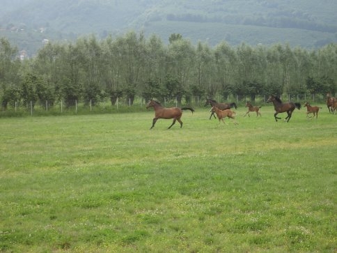 İlçe Tarım’dan Öğrencilere Gezi
