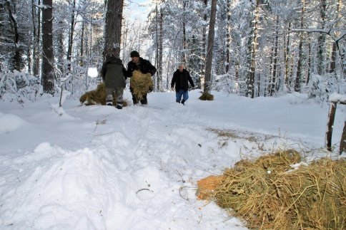Yaban Hayvanlarına Yem Bırakıldı