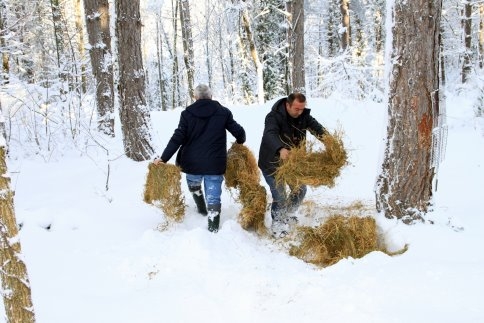 Yaban Hayvanlarına Yem Bırakıldı