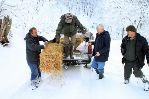 Yaban Hayvanlarına Yem Bırakıldı