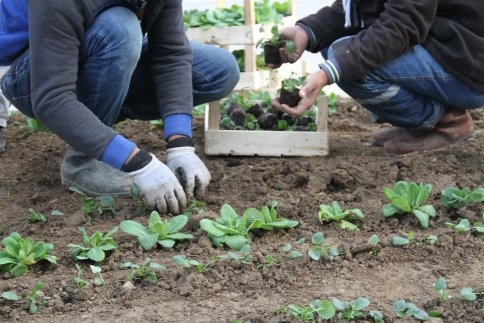 Akyazı Belediyesi Teknik Çalışmaları Aralıksız Sürdürüyor