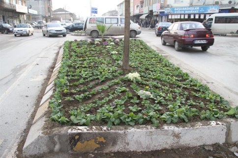 Akyazı Belediyesi Teknik Çalışmaları Aralıksız Sürdürüyor