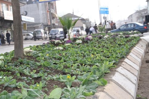 Akyazı Belediyesi Teknik Çalışmaları Aralıksız Sürdürüyor