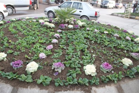 Akyazı Belediyesi Teknik Çalışmaları Aralıksız Sürdürüyor