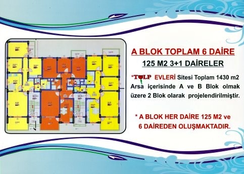 Ev Sahibi Olma Zamanınız Gelmedi mi ?