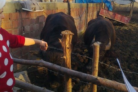 Manda Desteği Alan İşletmeler Denetlendi