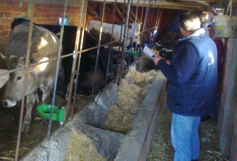 Manda Desteği Alan İşletmeler Denetlendi