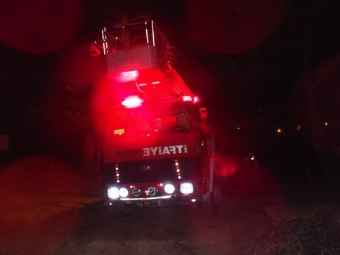 Kuzuluk'da Orman Yangını